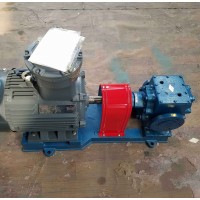 BW保温齿轮泵高粘度沥青泵天一泵业